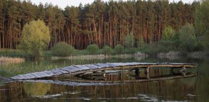 Мальовниче озеро серед соснового лісу (фото – dniprovych.livejournal.com)