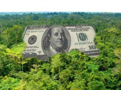 money_forest_by_tentabrobpy-d7mkk59