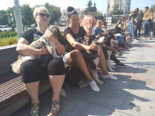 У Черкасах зоозахисники протестували проти масового вбивства собак у Миколаєві 
