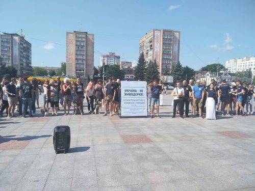 У Черкасах зоозахисники протестували проти масового вбивства собак у Миколаєві 