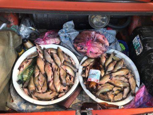 На Черкащині браконьєри наловили риби на 19 тис. грн (фото)