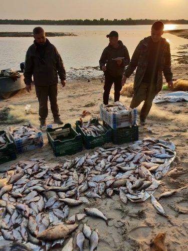 Канівські браконьєри наловили риби на 133 тисячі гривень (фото)