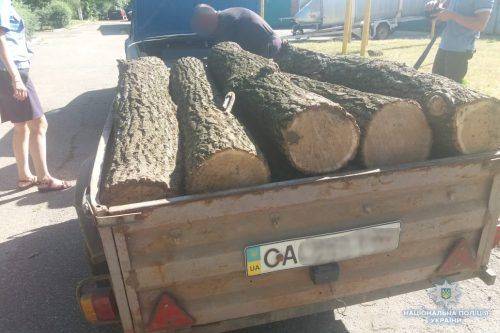На Черкащині затримали крадіїв деревини