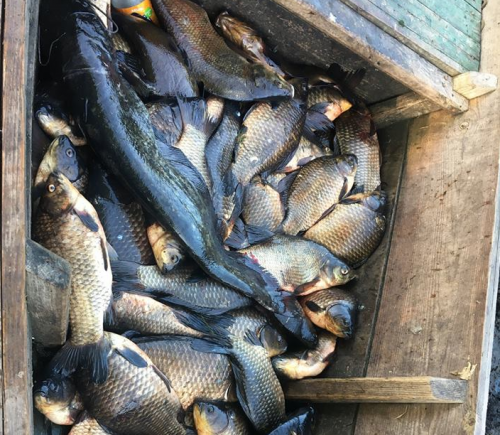 На Черкащині затримали браконьєрів із десятьма сітками риби (фото)