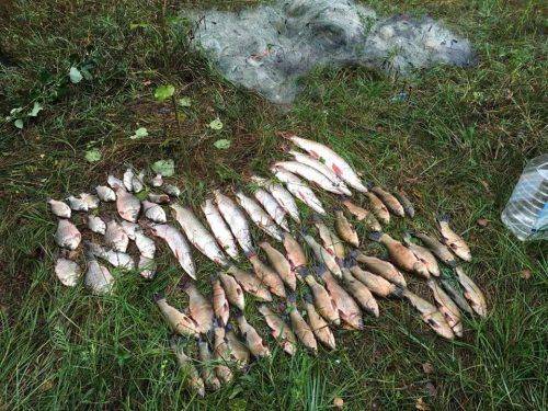 Черкаські браконьєри наловили риби на вісім тисяч гривень (фото)