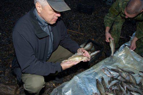 На Черкащині зафіксовано незаконний вилов Червонокнижної риби (фото)