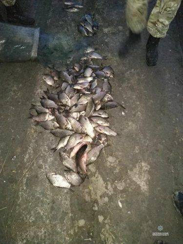 Черкаські браконьєри наловили риби майже на 32 тис. грн (фото)