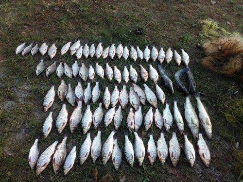 На Черкащині затримали браконьєра, який наловив риби майже на десять тисяч гривень (фото)