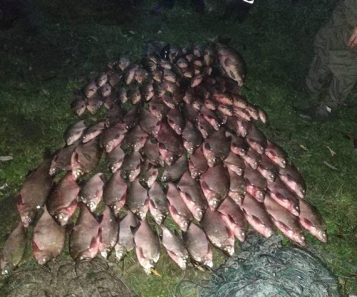 Смілянські браконьєри виловили 75 кг риби (фото)