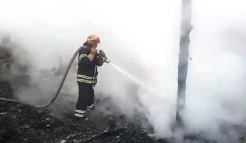 Через підпал на Канівщині ледь не згоріла пилорама (фото, відео)