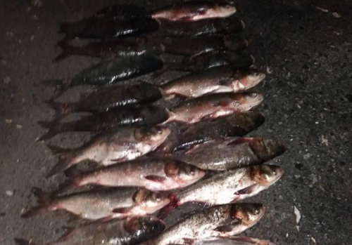 На Черкащині браконьєр наловив риби майже на вісім тисяч гривень (фото)