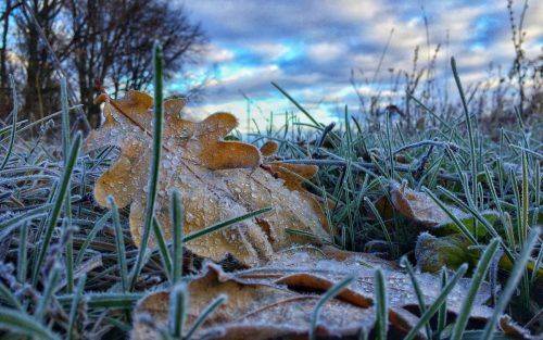 "Перший подих зими": у Черкаській області очікується похолодання