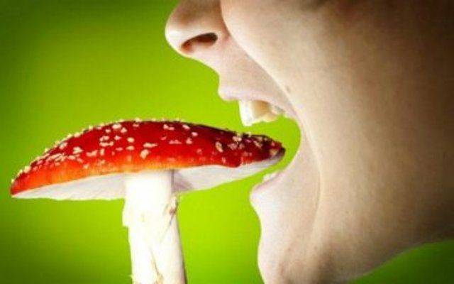 В Умані сталося масове отруєння грибами