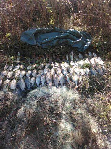 На Черкащині браконьєри наловили майже 80 кг риби (фото)