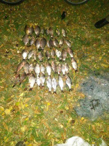 На Черкащині браконьєр виловив майже 50 кг риби (фото)
