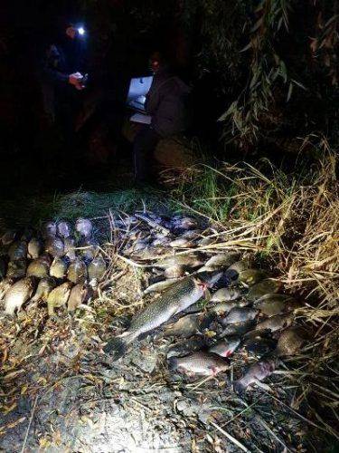 На Черкащині браконьєри-підводники наловили майже 35 кг риби (фото)