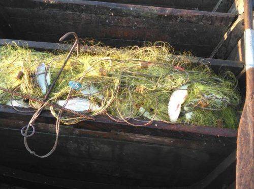 Черкаські браконьєри наловили риби майже на 120 тис. грн (фото)
