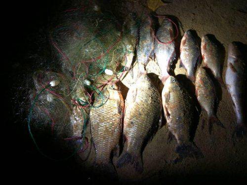 На Черкащині затримали браконьєрів, які виловили понад 1200 кг риби (фото)