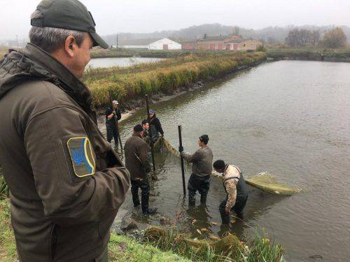 На Черкащині до Кременчуцького водосховища випустять 28 тонн товстолоба 