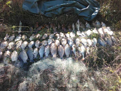 На Черкащині затримали браконьєрів, які виловили 80 кг риби (фото)
