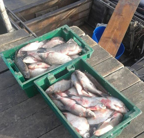 У Сулинському заказнику природоохоронці вилучили майже 100 кг незаконно добутої риби