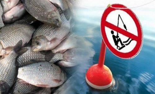 На Черкащині затвердили перелік заборонених місць для риболовлі на Кременчуцькому водосховищі