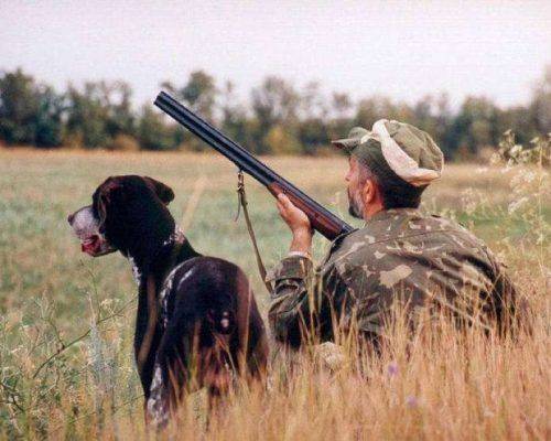 На Черкащині стартує сезон полювання на диких тварин
