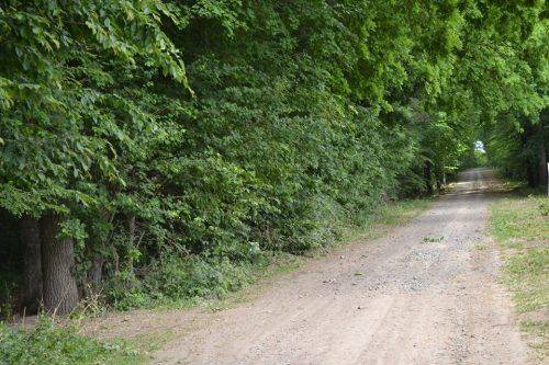 На Черкащині відновили майже 35 км лісових доріг