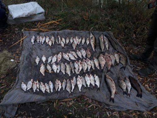 На Черкащині браконьєри наловили риби майже на дев'ять тисяч гривень (фото)