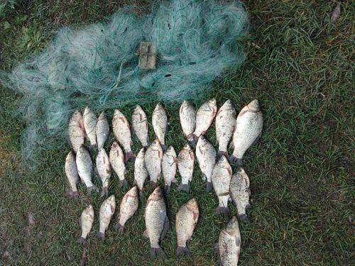 За місяць на Черкащині браконьєри наловили риби майже на 85 тисяч гривень
