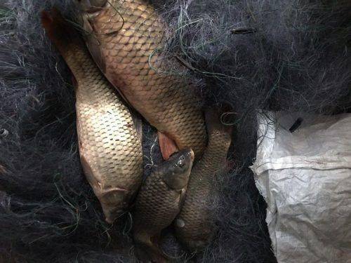 На Черкащині затримали браконьєрів, які наловили майже на 20 тис. грн (фото)