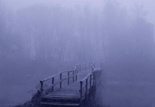 Місто в тумані: умережі з’явились світлини пейзажів осінніх Черкас 
