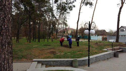 В одному із парків Черкас висадили дві сотні саджанців дуба (фото)