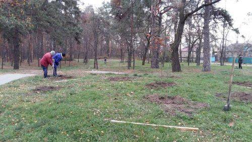 В одному із парків Черкас висадили дві сотні саджанців дуба (фото)