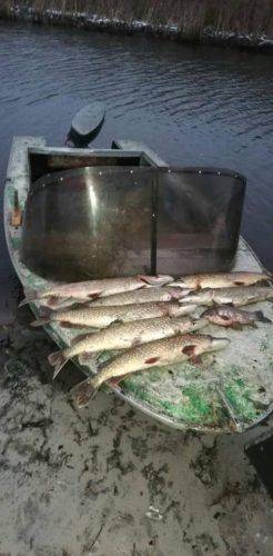 На Черкащині затримали чоловіків, які займалися незаконним виловом риби (фото)