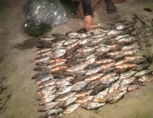 На Черкащині затримали браконьєрів, які наловили риби на 19 тис. грн