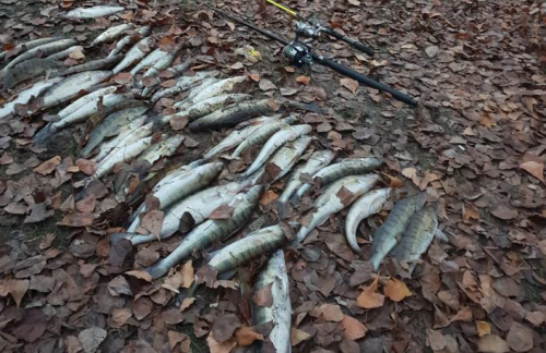 У Черкасах затримали браконьєра, який виловив рибу майже на 23 тис. грн (фото)
