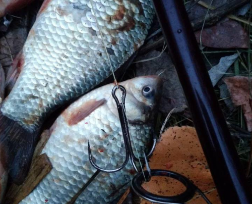 На Черкащині браконьєри наловили риби майже на 39 тис. грн (фото)