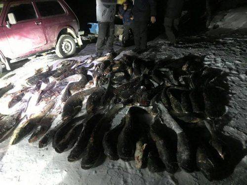 На Черкащині затримали браконьєра, який виловив майже 300 кг риби