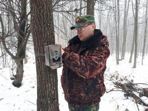 Лісівники Черкащини розпочали сезон зимової підгодівлі диких тварин