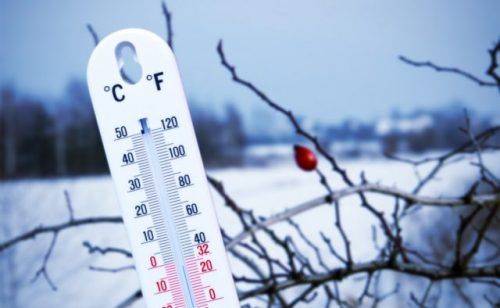 На Черкащині очікується найхолодніша ніч