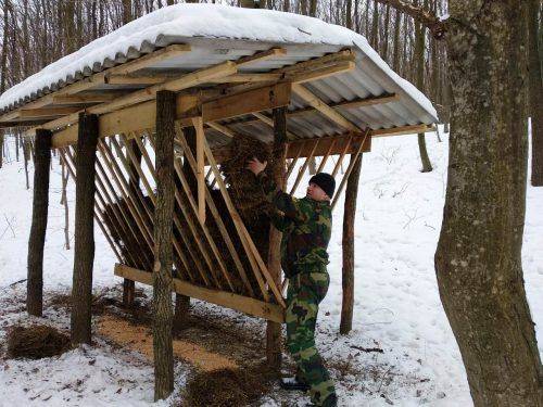 Лісівники Черкащини підгодовують диких тварин (фото)