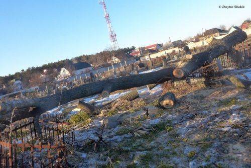 "Державний вандалізм": візит комунальників на кладовище у Черкасах нагадує наслідки війни (фото) 