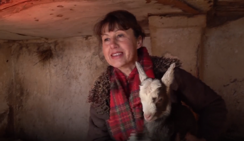 Родина з Черкащини створила сімейну ферму (відео)