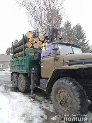 На Черкащині припинили незаконну вирубку лісу (фото)