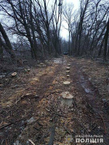 На Черкащині припинили незаконну вирубку лісу (фото)