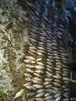 На Черкащині затримали браконьєрів, які виловили риби на понад 25 тис. грн (фото)