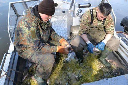 Браконьєри на Черкащині наловили сітками риби майже на 40 тисяч гривень (фото)