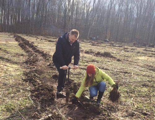 На честь загиблого учасника АТО на Черкащині висадили пам'ятний дубовий ліс (фото)