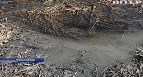 Притоки Дніпра на Черкащині роками забруднювали підприємства (відео)